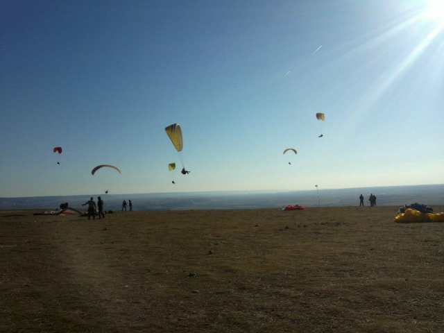  paragliders 